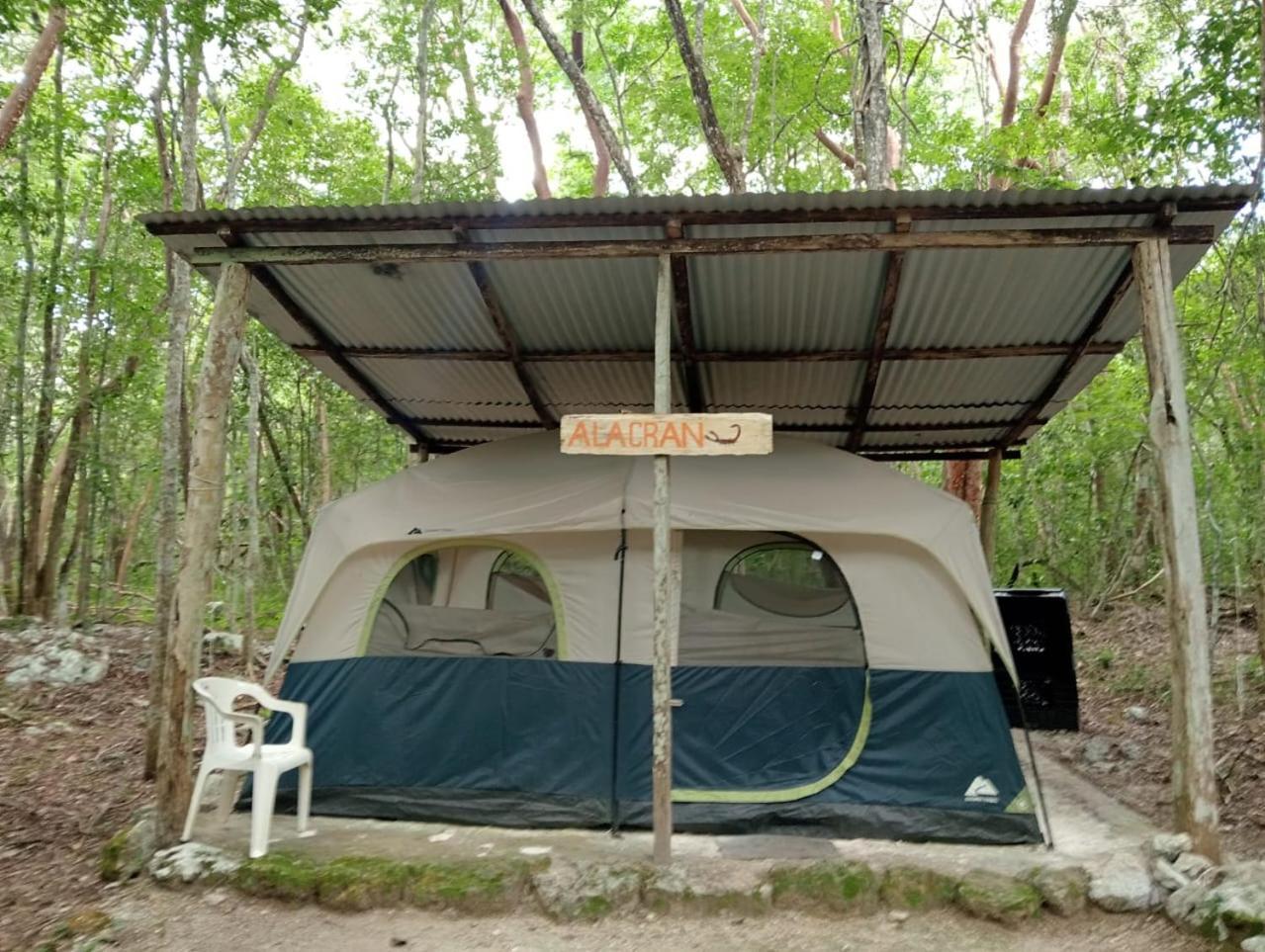 Campamento Yaax Che En Calakmul Conhuas Zimmer foto
