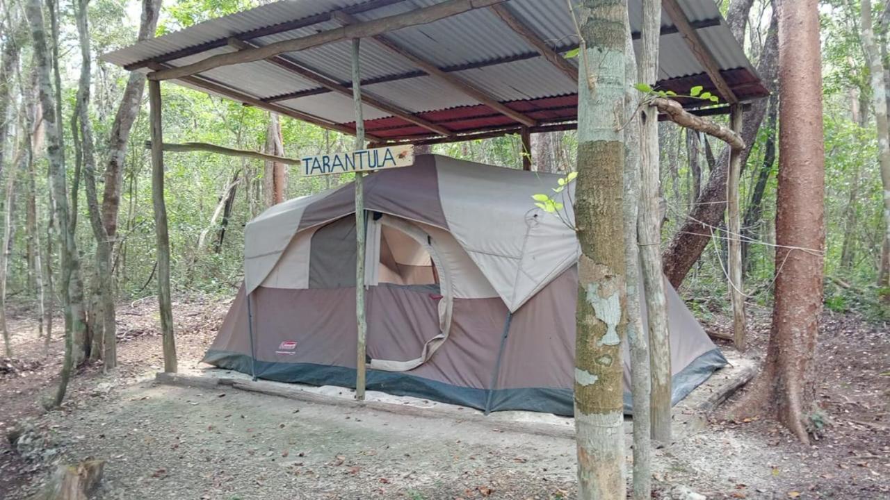 Campamento Yaax Che En Calakmul Conhuas Zimmer foto