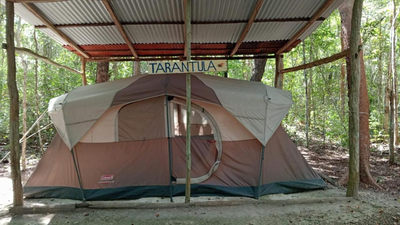 Campamento Yaax Che En Calakmul Conhuas Zimmer foto
