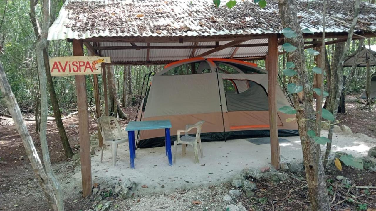 Campamento Yaax Che En Calakmul Conhuas Zimmer foto
