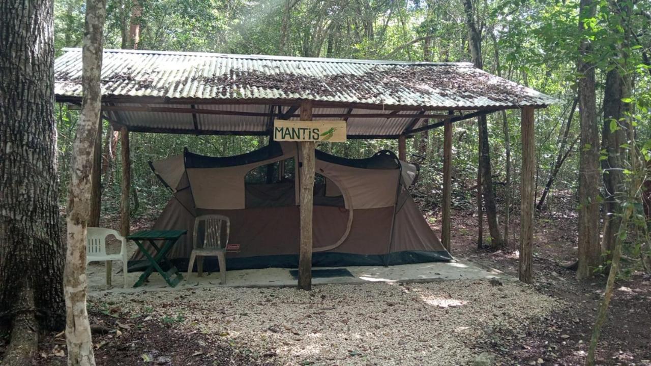 Campamento Yaax Che En Calakmul Conhuas Zimmer foto