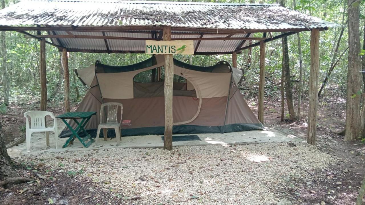 Campamento Yaax Che En Calakmul Conhuas Zimmer foto