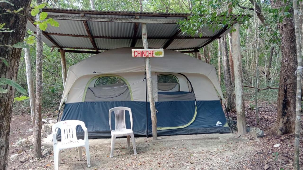 Campamento Yaax Che En Calakmul Conhuas Zimmer foto