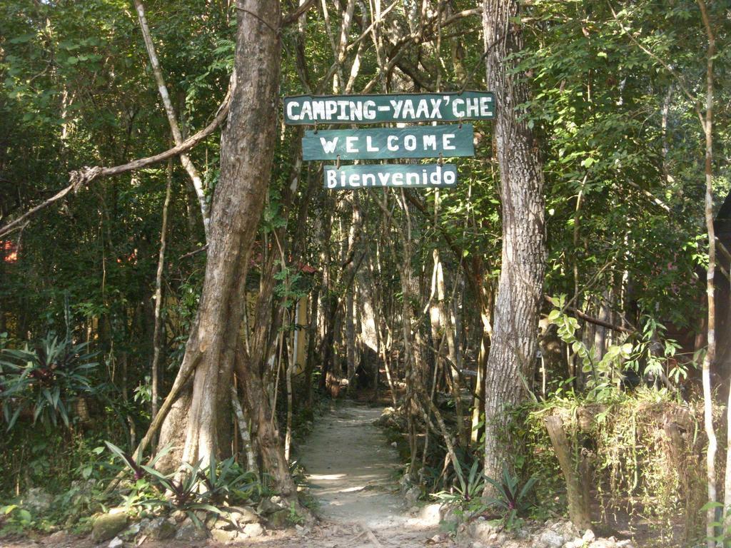 Campamento Yaax Che En Calakmul Conhuas Zimmer foto